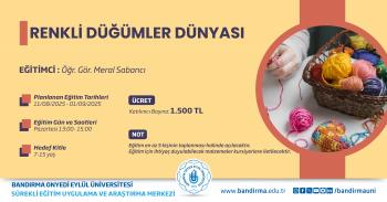 RENKLİ DÜĞMELER DÜNYASI 